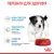Royal Canin Mini Puppy - консерви Роял Канін для цуценят дрібних порід