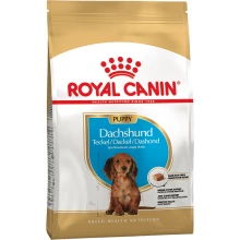 Royal Canin Dachshund Junior - корм Роял Канін для цуценят такси
