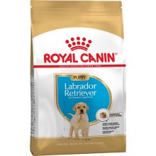 Royal Canin Labrador Retriever Junior - корм Роял Канин для щенков лабрадоров ретриверов