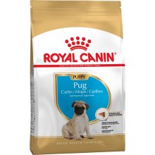 Royal Canin Pug Junior - корм Роял Канин для щенков мопсов