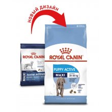 Royal Canin Maxi Junior Active - корм Роял Канин для активных щенков крупных пород