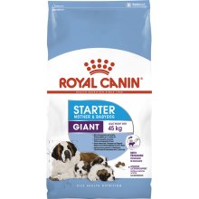 Royal Canin Giant Starter - корм Роял Канин для щенков гигантских пород собак