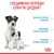 Royal Canin Mini Starter - корм Роял Канін для цуценят дрібних порід до 2 міс