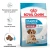 Royal Canin Medium Starter - корм Роял Канин для щенков средних пород до 2-х месяцев