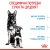 Royal Canin Maxi Starter - корм Роял Канин для щенков крупных пород, до 2 месяцев