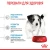 Royal Canin Mini Puppy - корм Роял Канін для цуценят дрібних порід