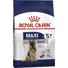 Royal Canin Maxi Adult 5+ Mature - корм Роял Канин для крупных собак старше 5 лет