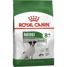 Royal Canin Adult Mini +8 - корм Роял Канін для літніх собак дрібних порід