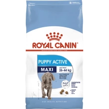 Royal Canin Junior Maxi Active - корм Роял Канін для активних цуценят великих порід