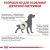 Royal Canin Urinary S/O Dog - корм Роял Канин при заболеваниях мочевыделительной системы