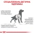 Royal Canin Hepatic Dog - корм Роял Канин Гепатик для диетотерапии и профилактики заболеваний печени