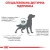 Royal Canin Skin Care Dog - корм Роял Канин для собак при дерматозах