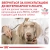 Royal Canin Hypoallergenic Puppy - гіпоалергенний корм Роял Канін при харчових алергіях у цуценят