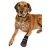 Trixie - защитные ботинки Трикси для собак