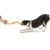 West Paw Bumi Tug Toy Large - іграшка Вест Пав Бумі для великих порід собак