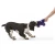 West Paw Lincoln - іграшка Вест Пав Лінкольн з пискавкою для собак