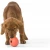 West Paw Rumbl Large - іграшка Вест Пав Румбл для великих порід собак