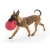 West Paw Zisc Flying Disc Large - фрисби Вест Пав Зиск для крупных пород собак