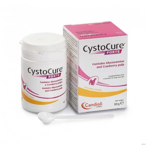 Candioli CystoCure Forte - препарат Кандиоли ЦистоКур Форте для мочевыводящей системы, порошок
