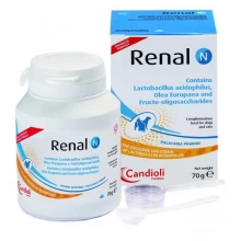 Candioli Renal N - препарат Кандиоли Ренал Н для снижения АД в почках и поддержки ЖКТ, порошок