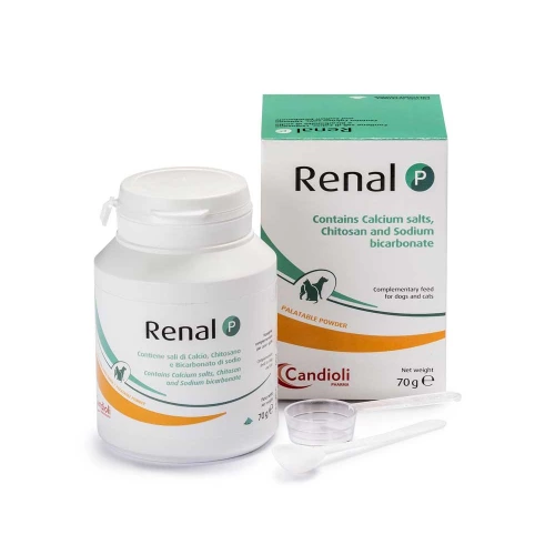 Candioli Renal P - препарат Кандиоли Ренал П для контроля фосфатемии, порошок