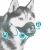 Ferplast Muzzle Net - намордник Ферпласт для собак