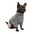 Pet Fashion - костюм Пет Фешн Пунш для собак
