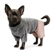 Pet Fashion - костюм для собак Пет Фешн Пунш