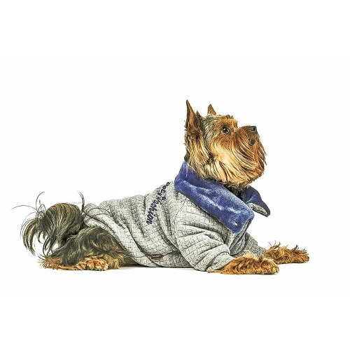 Pet Fashion - толстовка Пет Фешн Фред для собак