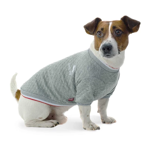 Pet Fashion - толстовка Пет Фешн Леон для собак