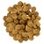Savory Dog Medium Breed - сухой корм Сейвори с мясом индейки и ягненка для собак средних пород