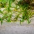 JBL Sansibar - пісок для акваріума Джей Бі Ел річковий
