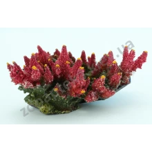 Trixie Coral - декорація Тріксі корали 20