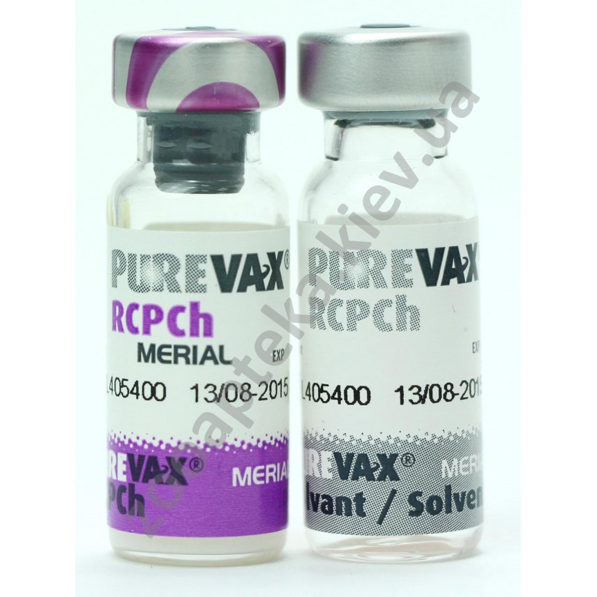 Вакцина пуревакс цена. Вакцина Пуревакс RCPCH. Пуревакс RCPCH вакцина для кошек. Пуревакс FELV вакцина. Пуревакс без хламидиоза.