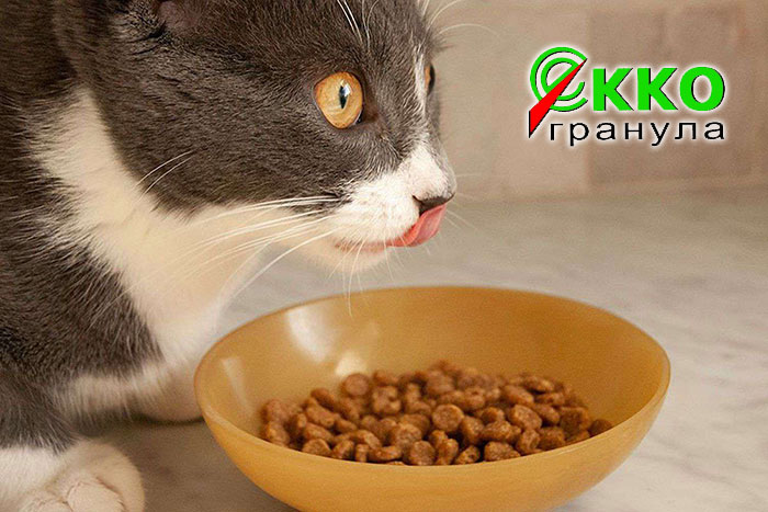 купить сухой корм для кошек Экко-гранула