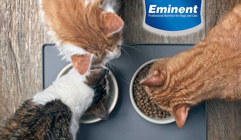 купить сухой корм для кошек Eminent