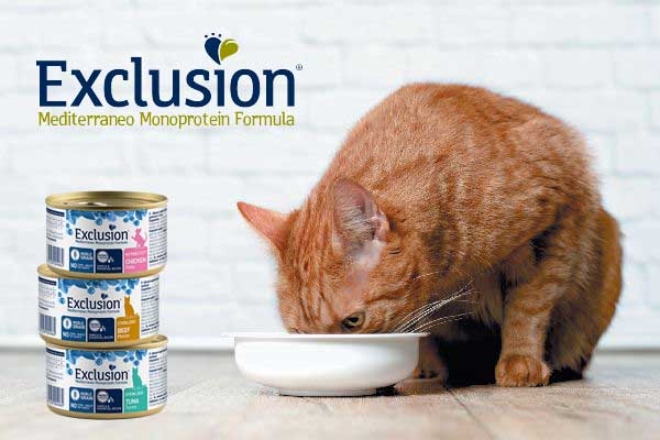 консервы для кошек Exclusion купить