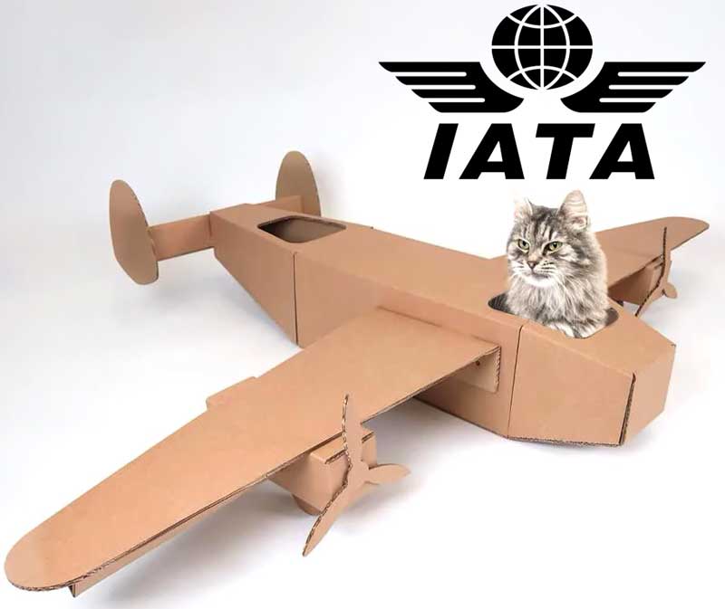переноска IATA для кота в самолет