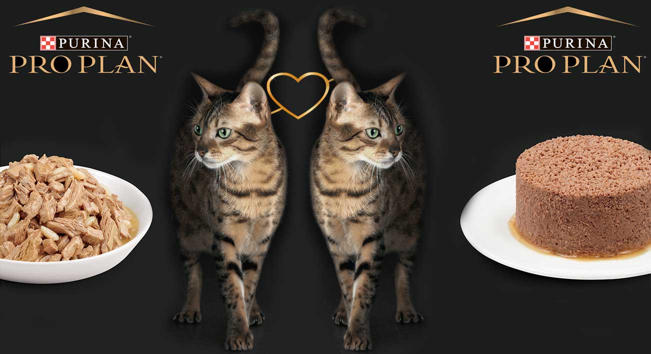 Purina Pro Plan суперпремиум консервы для кошек в Киеве