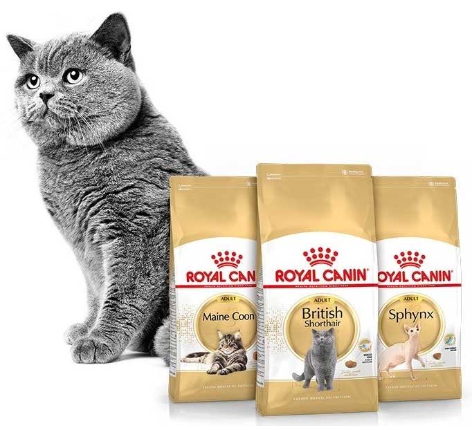 суперпремиум сухой корм для кошек Royal Canin 