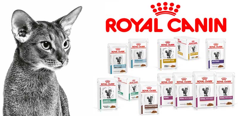 Royal Canin диетические консервы для кошек в Киеве