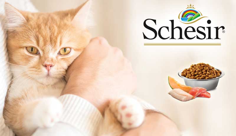 Schesir корм для кошек
