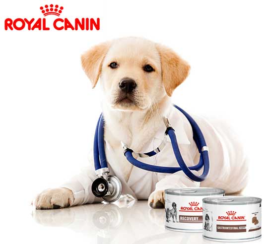купить Royal Canin диетические консервы для собак в Киеве